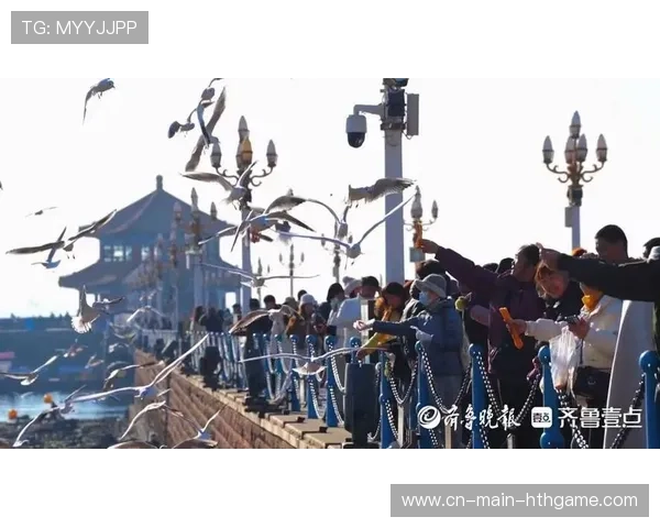 蜂军强调攻守平衡，应对海鸥强势控球